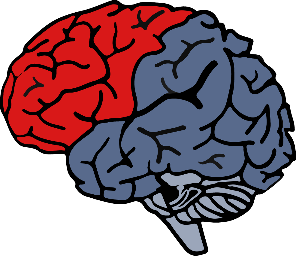 MINDSPACE
